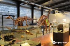 Musee des Dinosaures 'Dinosauria'-埃斯佩拉扎