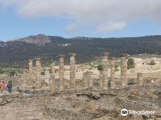 巴埃洛克劳狄亚-塔里法