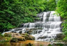 Pearson's Falls and Glen景点图片
