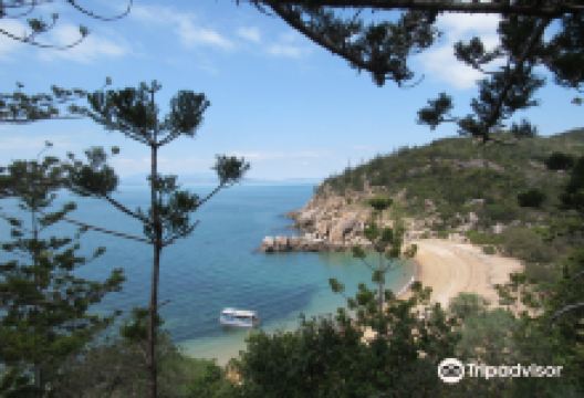 Nelly Bay to Arcadia Trail景点图片