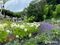 Machida City Nodatsu Park-町田市