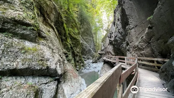 Rappenlochschlucht