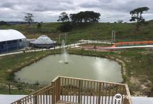 Silverdale Adventure Park景点图片