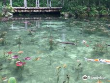 Monet’s Pond-关市