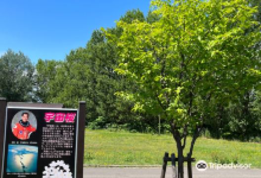 余市宇宙記念館景点图片