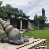 索拉哈图片