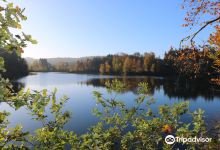 Lac de Robertville景点图片
