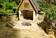 Tierpark Senftenberg景点图片
