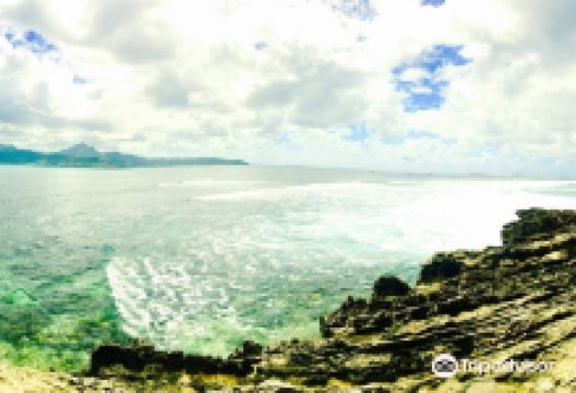 Speed Boat Seaduction景点图片