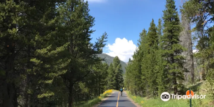 Mountain View Sports Rentals