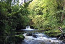 Clydach Gorge景点图片