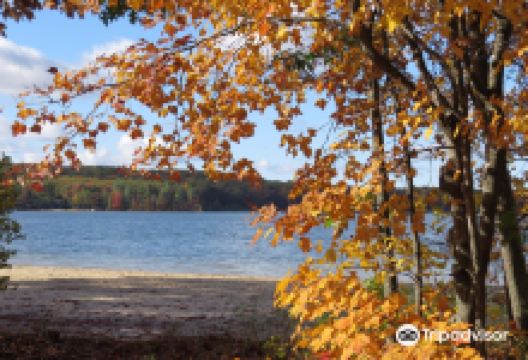 Otsego Lake State Park景点图片
