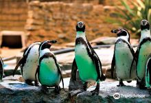 Birdworld景点图片