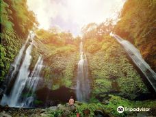 Lemukih Waterfall-巴厘岛