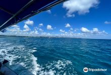Blue Water Diving Centre Ltd景点图片