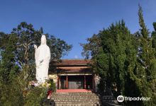 Lam Ty Ni Pagoda景点图片