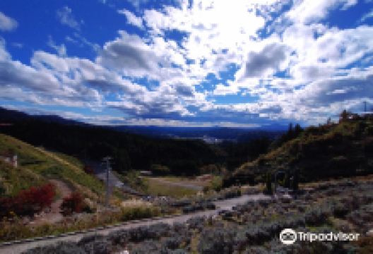 阿武隈洞景点图片