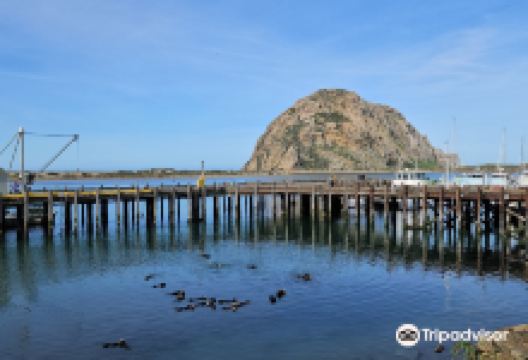 Morro Bay National Estuary景点图片