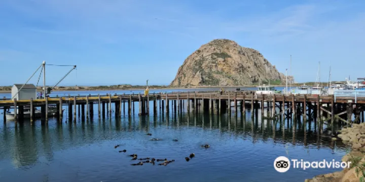 Morro Bay National Estuary