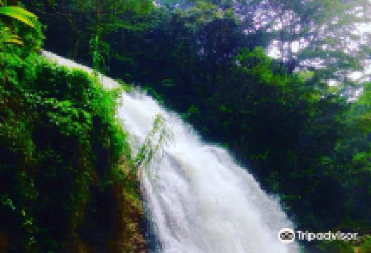 Rio la planta Arecibo景点图片