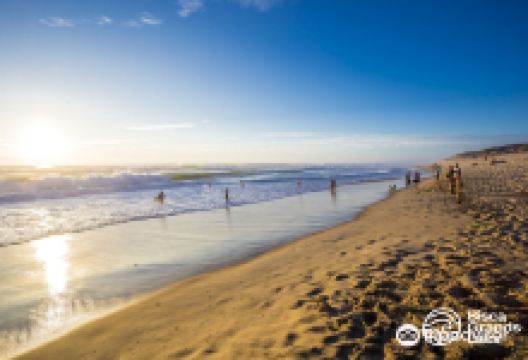 Biscarrosse Plage景点图片