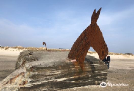Blåvand Turistinformation景点图片