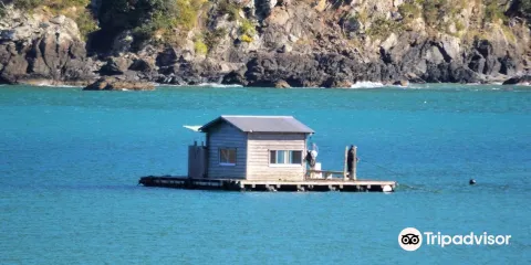 丸市尾の海水浴場