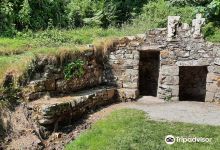 St Declan's Well and Oratory景点图片
