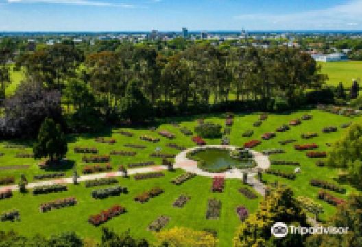 Dugald MacKenzie Rose Garden景点图片