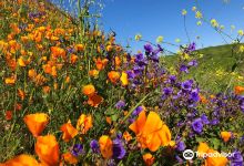 奇诺岗州立公园景点图片
