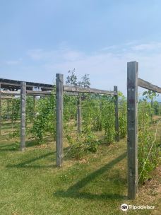 Off The Grid Organic Winery-西基隆拿