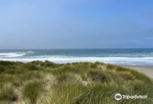Tolowa Dunes State Park景点图片