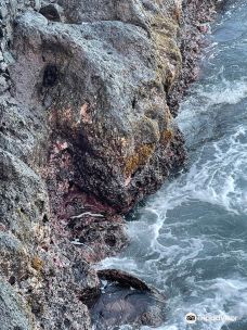 阿拉吼吼喷泉口-Tiarei