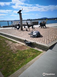 Hairy Maclary & Friends Tauranga Waterfront Sculpture-塔朗哥