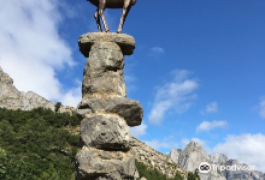 Mirador del Tombo景点图片