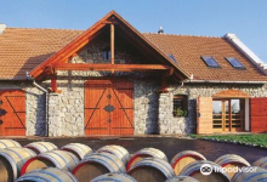 Bodnar Winery & Wine House景点图片