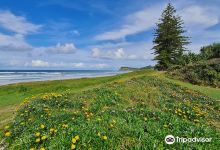 Lennox Head Beach景点图片