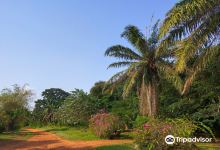 Legon Botanical Gardens Ghana..景点图片