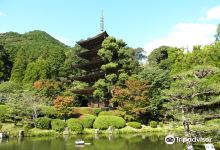 瑠璃光寺 五重塔景点图片
