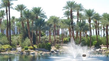 Shields Date Garden