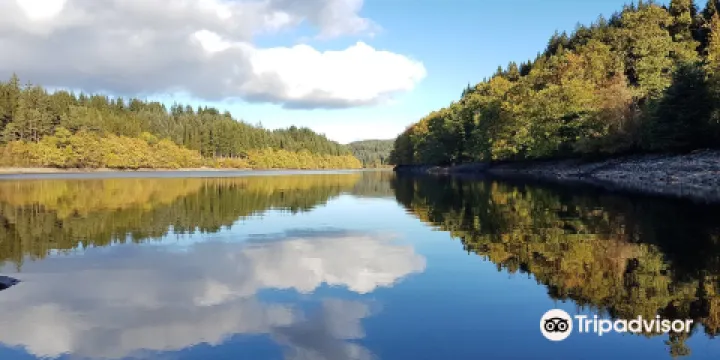 Three Lochs Forest Drive