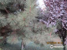 Park of Slavic Culture and Literature-顿涅茨克