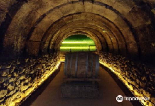 Bodegas Tritium景点图片