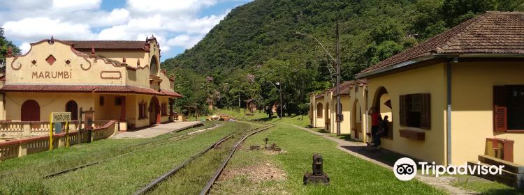 980629633