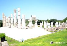 Apollon Smintheion景点图片