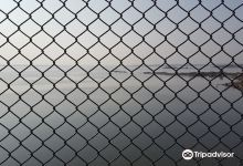 Gandipet Lake景点图片