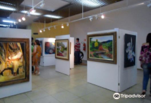 Leão de Formosa Municipal Theater景点图片