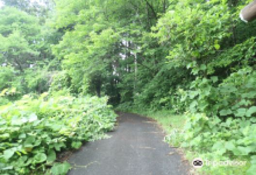 Hayama Tumulus景点图片