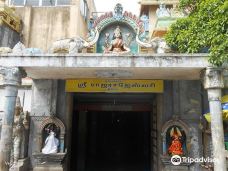 Sri Raja Rajeswari Temple-内洛尔