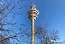 Torre Telecom Italia景点图片